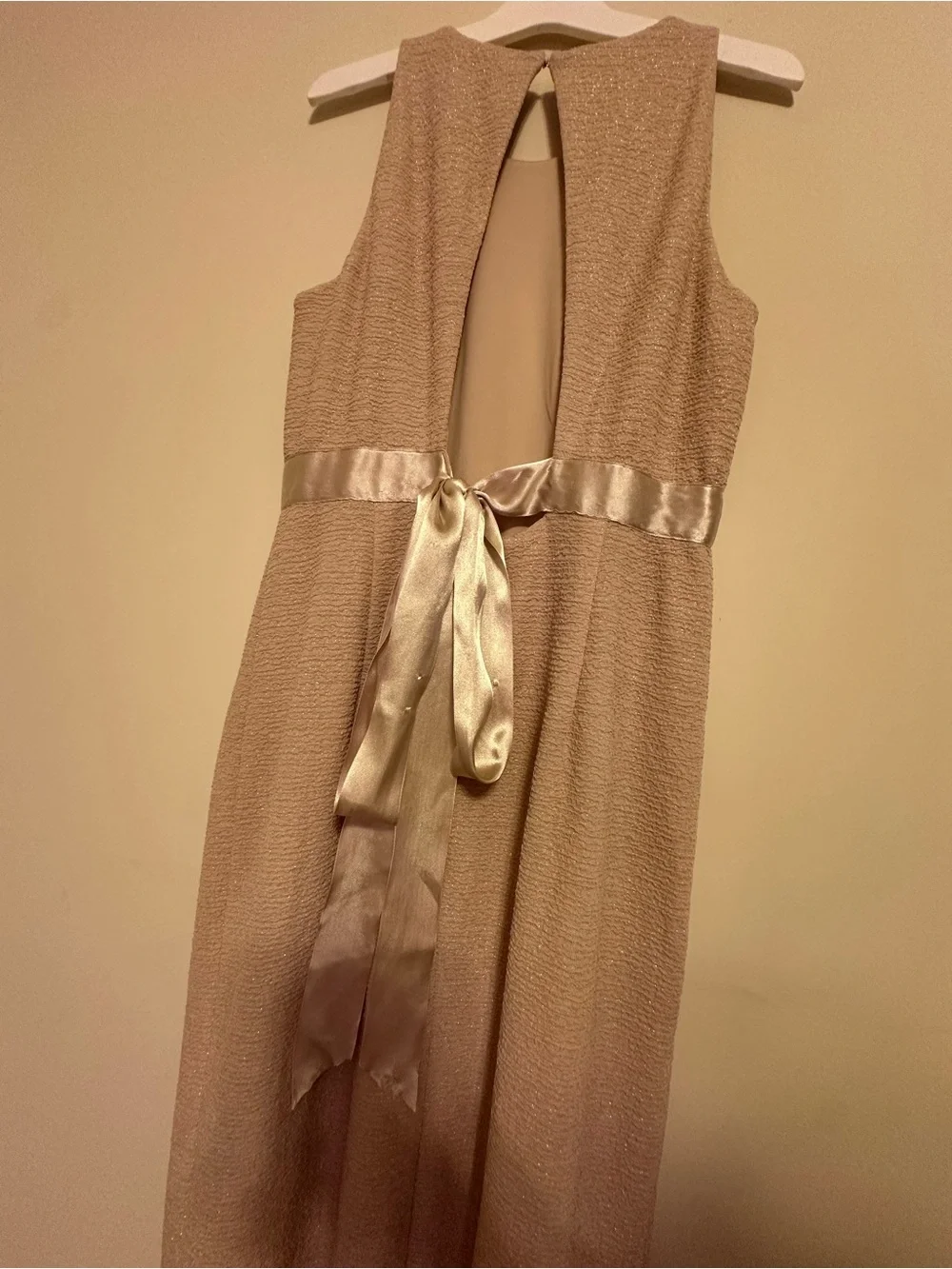 Adrianna Papell Champagne Metallic Maxi Dress Formal Evening Gown Size 6